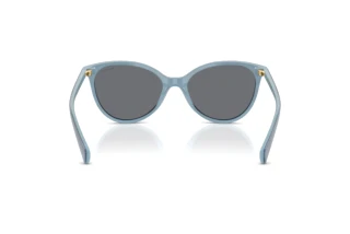 Widok z tyłu Ralph RA5339U (629287)