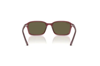 Widok z tyłu Ray-Ban Kids RJ9131S (7197/3)