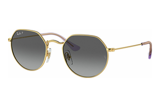 Ray-Ban Kids RJ9565S 292/T3 GreyArista Gold