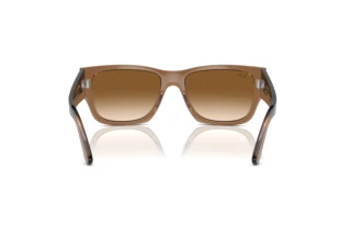 Widok z tyłu Ray-Ban CARLOS (RB0947S - 664051)
