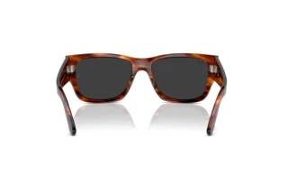 Widok z tyłu Ray-Ban CARLOS (RB0947S - 954/48)