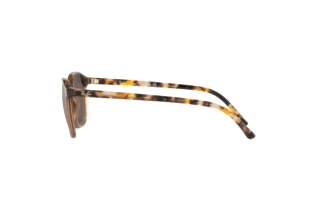 Widok z boku Ray-Ban LEONARD (RB2193 - 663693)