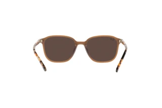 Widok z tyłu Ray-Ban LEONARD (RB2193 - 663693)