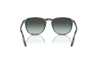 Widok z tyłu Ray-Ban RB2203 (1391GK)