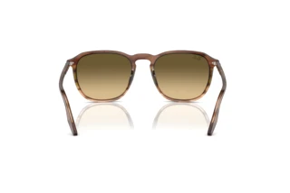 Widok z tyłu Ray-Ban RB2203 (13920A)