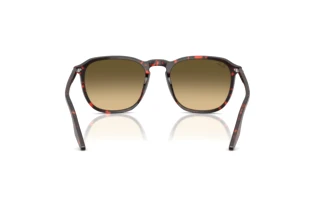Widok z tyłu Ray-Ban RB2203 (14290A)