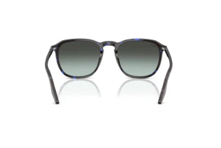 Widok z tyłu Ray-Ban RB2203 (1430GK)