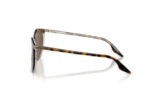 Widok z boku Ray-Ban RB2204 (139357)