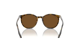 Widok z tyłu Ray-Ban RB2204 (139357)