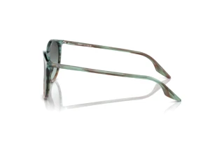 Widok z boku Ray-Ban RB2204 (1394GK)
