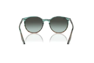 Widok z tyłu Ray-Ban RB2204 (1394GK)