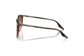 Widok z boku Ray-Ban RB2204 (13953B)