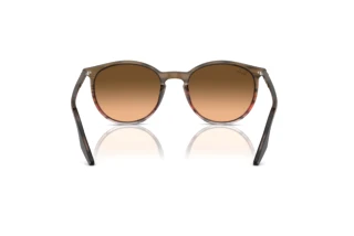 Widok z tyłu Ray-Ban RB2204 (13953B)