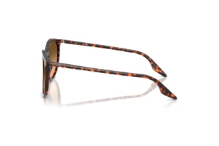 Widok z boku Ray-Ban RB2204 (14293B)