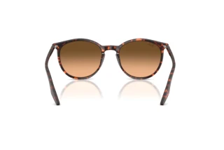 Widok z tyłu Ray-Ban RB2204 (14293B)