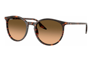 Ray-Ban RB2204 14293B