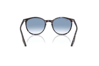 Widok z tyłu Ray-Ban RB2204 (14303F)