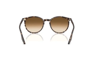 Widok z tyłu Ray-Ban RB2204 (143151)