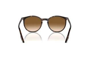 Widok z tyłu Ray-Ban RB2204 (902/51)