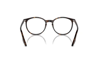 Widok z tyłu Ray-Ban RB2204 (902/GJ)
