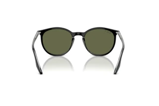 Widok z tyłu Ray-Ban RB2204 (919/58)