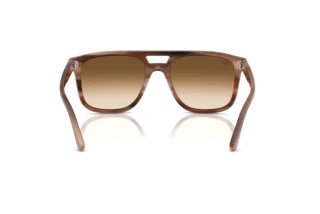 Widok z tyłu Ray-Ban RB2213 (142351)