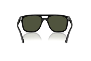 Widok z tyłu Ray-Ban RB2213 (901/31)