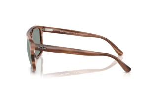 Widok z boku Ray-Ban RB2213CH (1423O9)