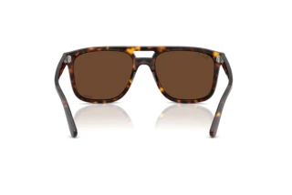 Widok z tyłu Ray-Ban RB2213CH (902/AN)