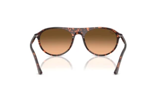 Widok z tyłu Ray-Ban RB2215 (14293B)