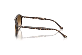 Widok z boku Ray-Ban RB2215 (143151)