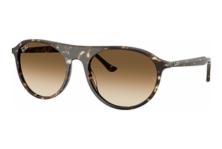 Ray-Ban RB2215 143151 Clear Gradient BrownHavana Yellow Turtle