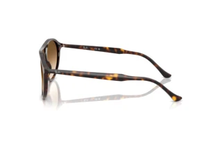 Widok z boku Ray-Ban RB2215 (902/51)