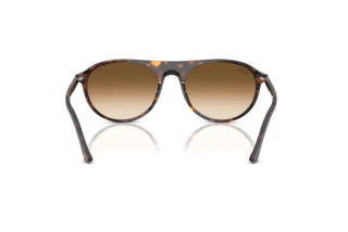Widok z tyłu Ray-Ban RB2215 (902/51)