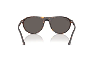 Widok z tyłu Ray-Ban RB2215 (902/B1)