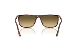 Widok z tyłu Ray-Ban RB2216 (14290A)
