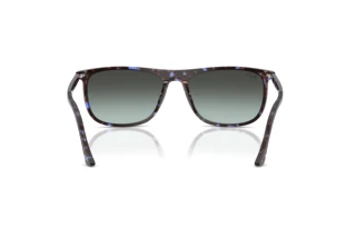 Widok z tyłu Ray-Ban RB2216 (1430GK)
