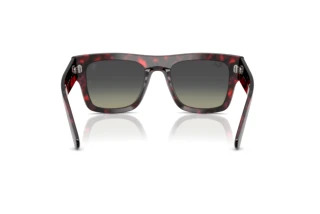Widok z tyłu Ray-Ban RB2217M (F70511)