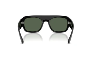 Widok z tyłu Ray-Ban RB2218 (667771)
