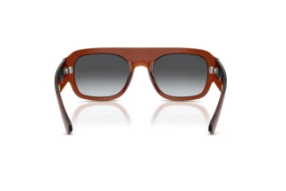 Widok z tyłu Ray-Ban RB2218 (6678T3)