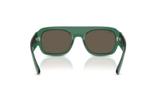 Widok z tyłu Ray-Ban RB2218 (6681/3)