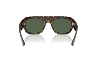 Widok z tyłu Ray-Ban RB2218 (679071)