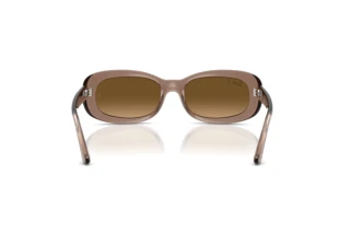 Widok z tyłu Ray-Ban RB2221 (6827M2)