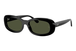 Widok z przodu Ray-Ban RB2221 (901/31)