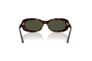 Widok z tyłu Ray-Ban RB2221 (902/31)