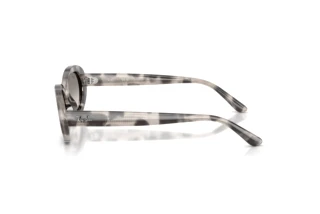 Widok z boku Ray-Ban RB2223 (144832)