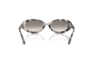Widok z tyłu Ray-Ban RB2223 (144832)