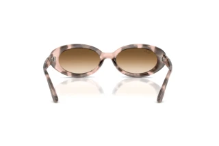 Widok z tyłu Ray-Ban RB2223 (144951)