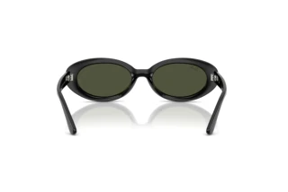 Widok z tyłu Ray-Ban RB2223 (901/31)