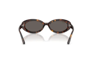 Widok z tyłu Ray-Ban RB2223 (902/B1)